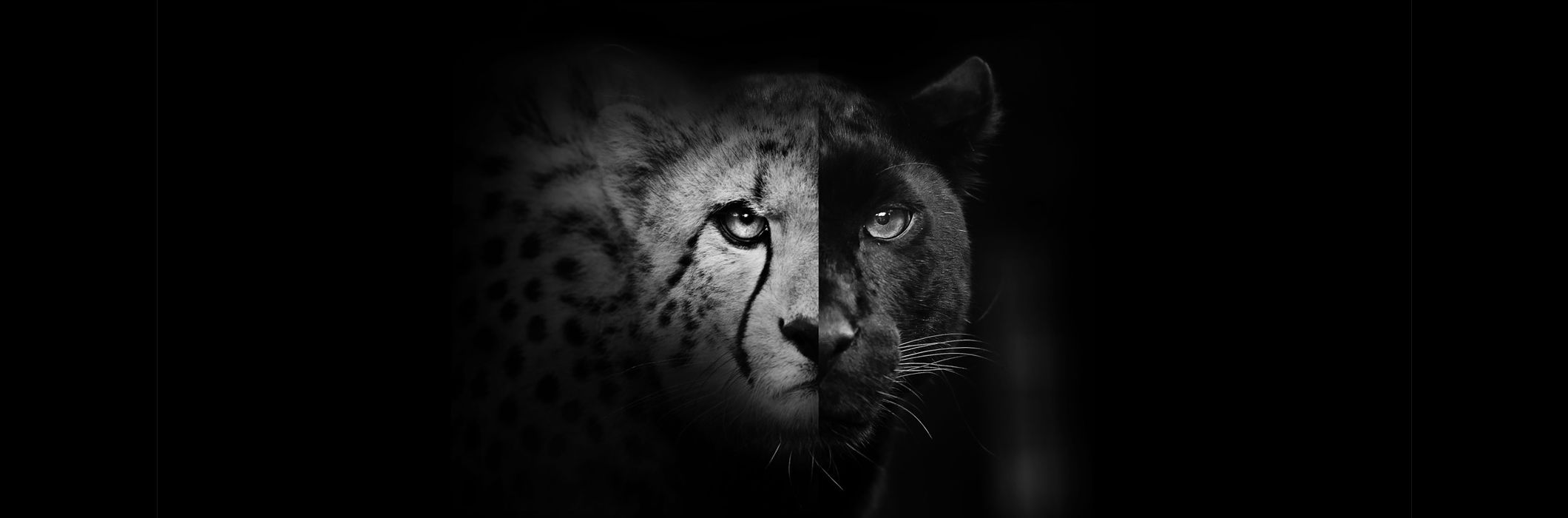 header_1